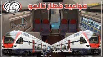 قبل سفرك اليوم.. مواعيد قطارات تالجو 8 سبتمبر على كل الخطوط وتفاصيل أسعار التذاكر 1